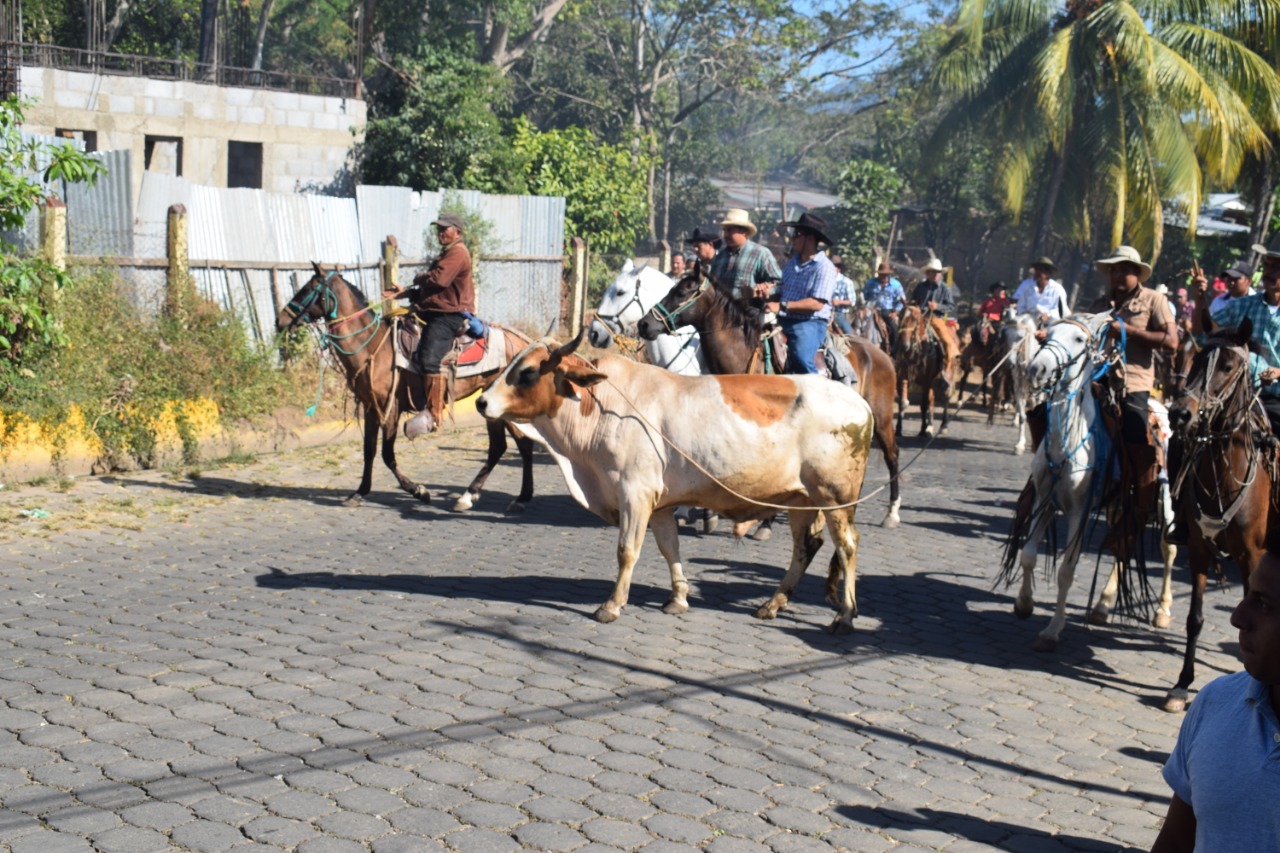 TOROS1